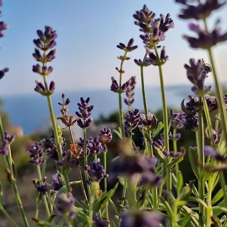 Casa de Férias And Sea